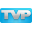 Phiên bản TVP Animation Professional